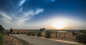 Hotel Rural Vila Gale Alentejo Vineyards