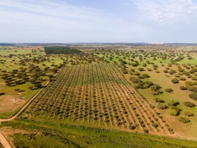 Vila Galé Collection Monte do Vilar - Agroturismo
