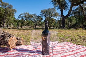 Herdade Das Onzenas De Cima