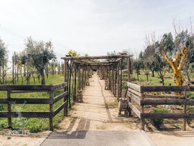 Herdade da Rocha - Boutique Lodge