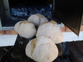 Refúgio das Origens