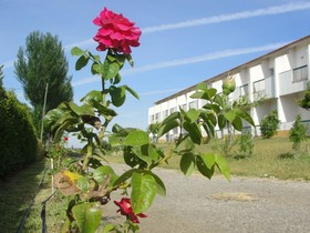 Estremoz Hotel