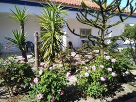 Casa Zanzibar