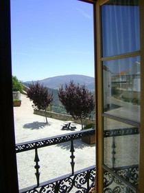 Casa da Árvore
