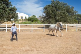Rosa Estates The Farmhouse & Stables