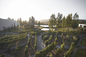 L'and Vineyards