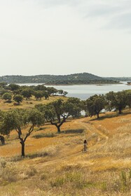 Herdade dos Delgados