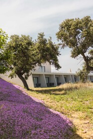 Herdade dos Delgados