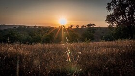Herdade da Maceira
