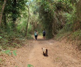 Herdade da Maceira