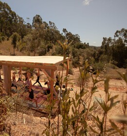 Herdade da Maceira