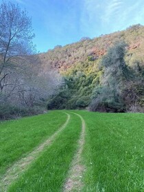 Herdade da Maceira