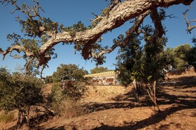 Herdade da Maceira
