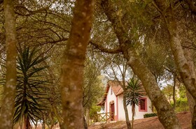 Octant Hotels Santiago