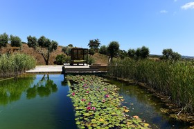 Reserva Alecrim EcoSuite & Glamping