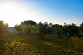 The Lince Ecorkhotel Évora
