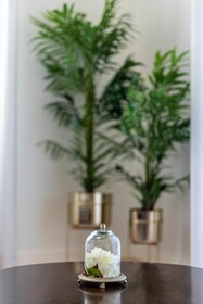 Templo Boutique Hotel