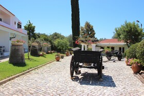 Balaia Sol