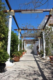 Balaia Sol