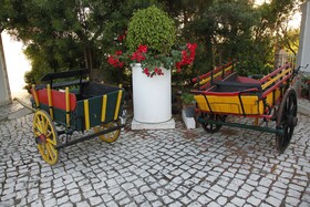 Balaia Sol
