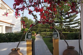 Balaia Sol