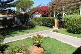 Balaia Sol