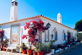 Balaia Sol