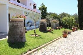 Balaia Sol