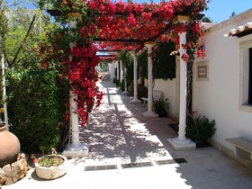 Balaia Sol