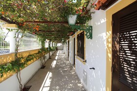 Balaia Sol