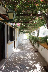 Balaia Sol