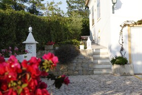 Balaia Sol
