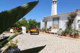 Balaia Sol