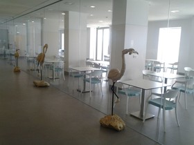 INATEL Albufeira Hotels