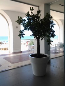 INATEL Albufeira Hotels