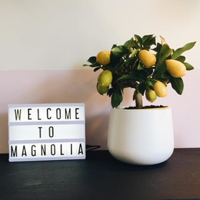 The Magnolia Hotel