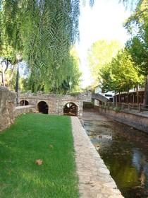 Alte
