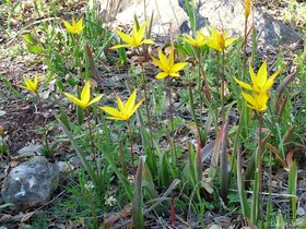 Casa do Forno - Quinta Amoreira
