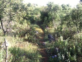 Casa do Forno - Quinta Amoreira