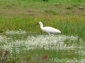 Casa do Forno - Quinta Amoreira