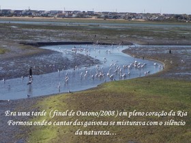 Laguna Formosa
