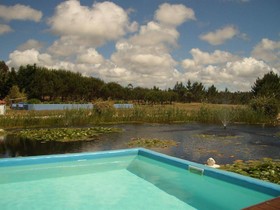 Casa Vicentina