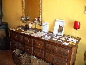 Casa Vicentina
