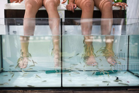 Aquashow Park