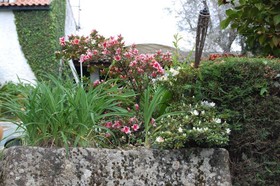 Casa da Quinta de Sao Martinho