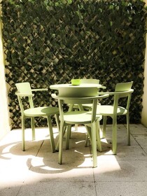 Domus 21