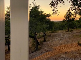 Montum Farm Living