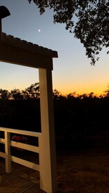 Montum Farm Living