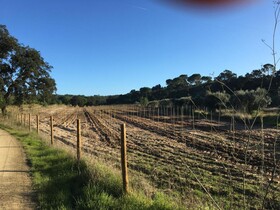 Montum Farm Living