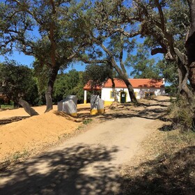 Montum Farm Living